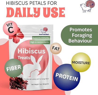 Snout and Shell Hibiscus Treats – 100% Natural Dried Flowers for Small Pets – Immunity Support & Antioxidants – Healthy Snack for Rabbits, Guinea Pigs, & Chinchillas (1 oz)
