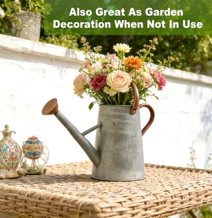 Watering Can for Outdoor&Indoor Plants，1.5 Gallon（5.7L） Metal Watering Can with with Removable Spout，Large Galvanized Steel Garden Flower Water Can Watering Pot with 2 Handles，Rustic Silver