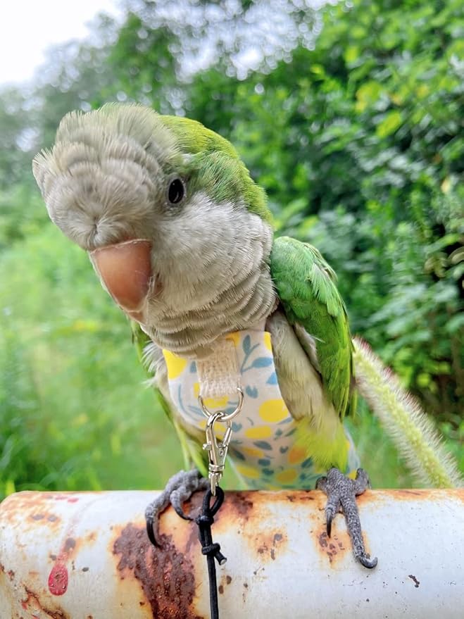 Bird Diaper Harness Flight Suit Clothes, Parrot Flight Suit with Leash, Bird Flying Clothes with Rope and Handle for Outdoor Activities Training (Yellow with Leash,Medium)
