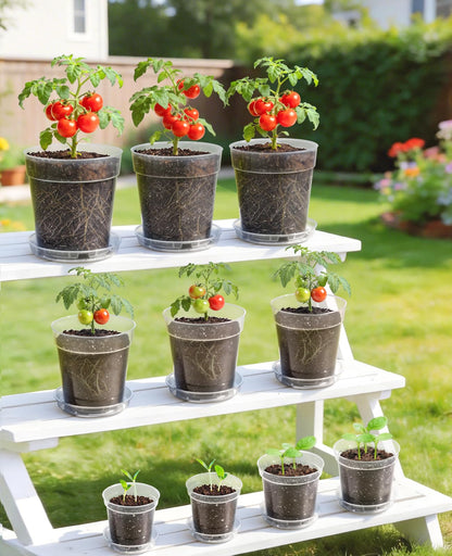 homenote 5 Inch Clear Nursery Pots 30 Pack with Drainage and Plant Saucers, Rigid High Transparency Plastic Nursery Pots for Plants,Thick Walled Planter Nursery Pots with Upgraded Drainage Holes