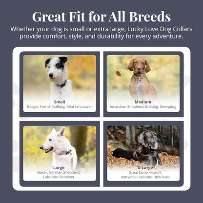 Lucky Love Dog Martingale Dog Collar - Adjustable, No-Slip, Durable, & Soft Webbing Collar for Male and Female Dogs Ideal for Training & Walking - in Unique Pongo Pattern, Small