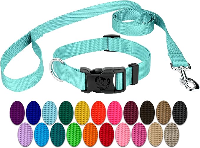 Country Brook Petz - Everyday Nylon Dog Collar and Leash - 10+ Cool Colors (1 Inch, Large, Light Cyan)