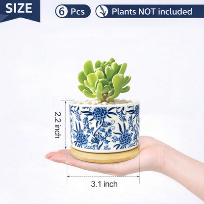 celamos Succulent Pots 6 Pack, Small Flower Pots with Drainage Bamboo Tray, Succulent Pots for Indoor Plants, Cactus Pots and Planters, Decorative Small Pots for Home Office