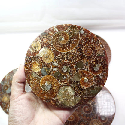 ZHDECOR Natural 11cm Natural Ammonite Shell Plate with Shelf, Mineral from Madagascar Circle Disk, Reiki Crystal Healing Stones Decorations