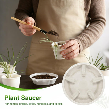 M METERXITY 2-Pack Plant Saucer, 6.3 Inch/16 cm Plastic Plant Trays Thicker for Pots/Indoor/Outdoor/Water Drainage and Protection, Flowerpot Drip Tray [Mocha]