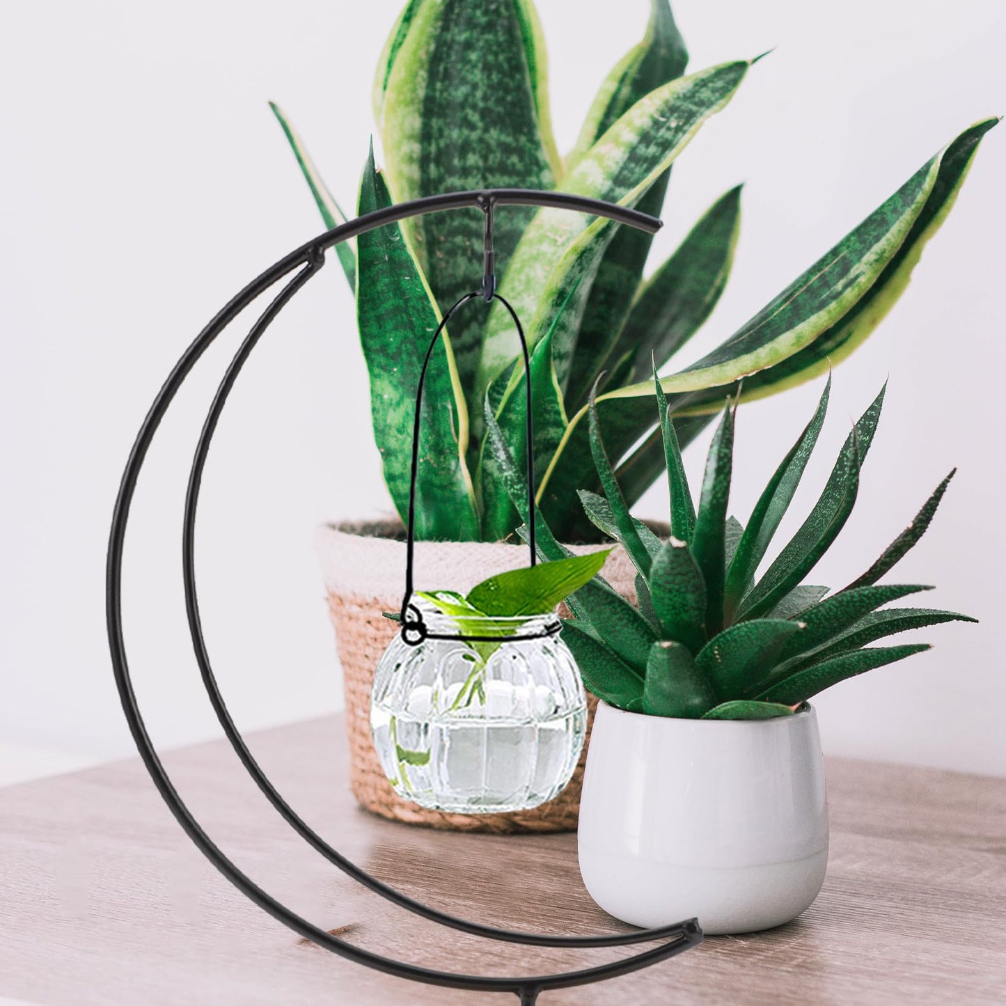 COHEALI Ornament Display Stand Moon-Shaped Iron Hanging Planter Rack Micro Landscape Vase Holder for Home Décor and Hanging Terrariums