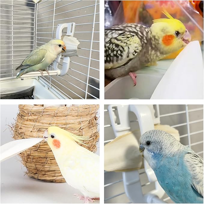 4.8"-5.1" Cuttlebone for Birds,Parakeets Cuddle Bone Beak Trimming,Premium Calcium Natural Cuttlefish Bone for Parrot,Cockatiel,Budgie,Tortoise, Snails,Reptiles,20 Pcs
