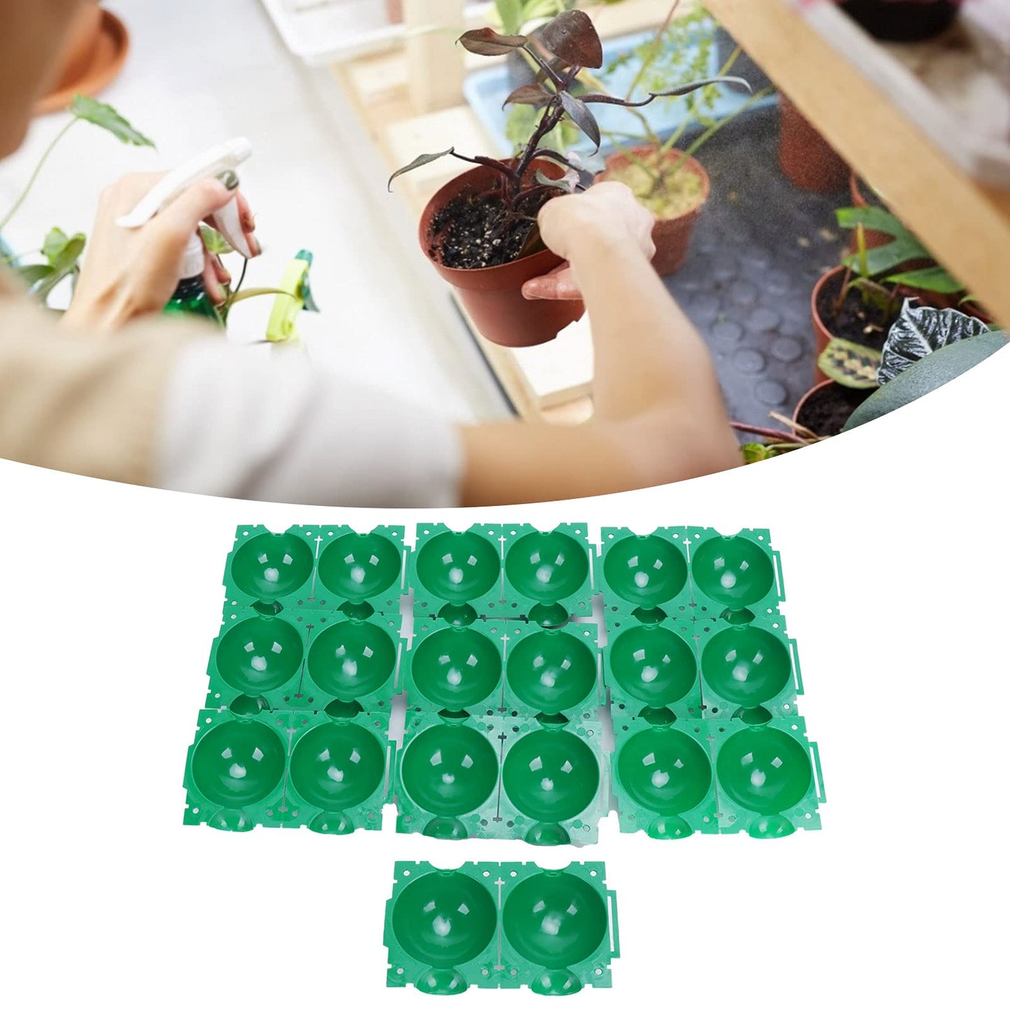 Yuecoom Plant Rooting Device, Reusable Plant Rooting Device High Pressure Propagation Ball Box Plant Grafting Ball Propagation Ball (Green)