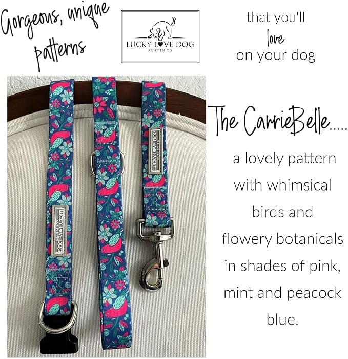 Lucky Love Dog - Easy Click Buckle Dog Collar with Leash Set Combo, Durable & Comfortable for Male & Female Dogs, Pet Collar for Large Dogs, Secure Fit - Carriebelle Martingale Combo, Large