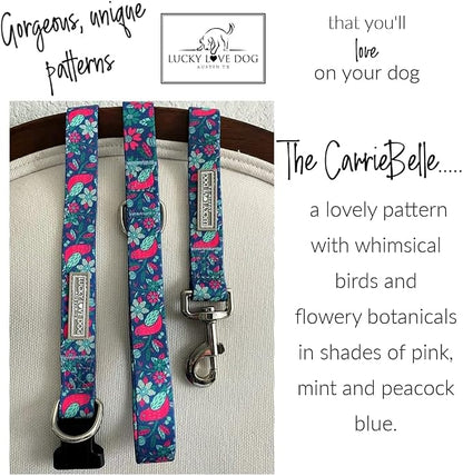 Lucky Love Dog - Easy Click Buckle Dog Collar with Leash Set Combo, Durable & Comfortable for Male & Female Dogs, Pet Collar for Large Dogs, Secure Fit - Carriebelle Martingale Combo, Large