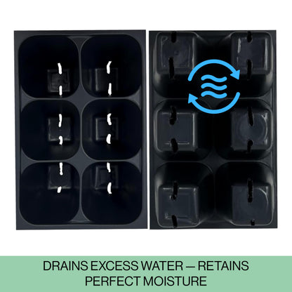 Seed Starter Trays, 144 Cells (24 Trays - 6 Cells Per Tray) + Plant Stakes