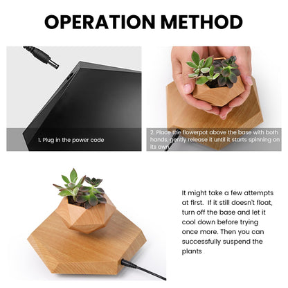 Leekimid Levitating Plant Pot, Magnetic Levitation Flower Pot Suspension Floating Plant Succulents, Air Bonsai Potted Plant for Home Decoration, Living Room, Office, Desk (Wood)