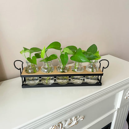 THYGIFTREE Plant Propagation Stations with Metal Stand, Tabletop Plant Terrarium for Propagating Hydroponic, Retro Glass Planter Flower Vase Home Kitchen Office Decor Gifts, 5 Jars