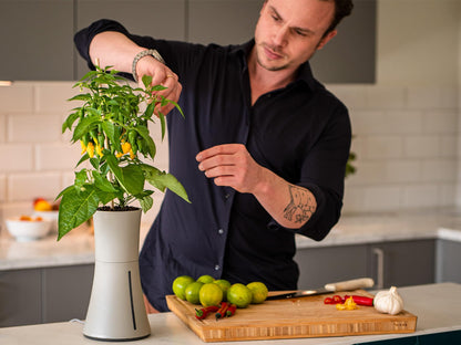 Botanium Hydroponic and Automatic Indoor Gardening Pot, Grey