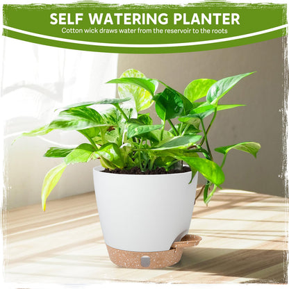 Goproauto Self-Watering Pots for Indoor Plants with Visible Water Window,5/6/6.5/8/10 Inch Outdoor Flower Pots with Drainage Holes & Reservoir for Patio, Home Decor (White)