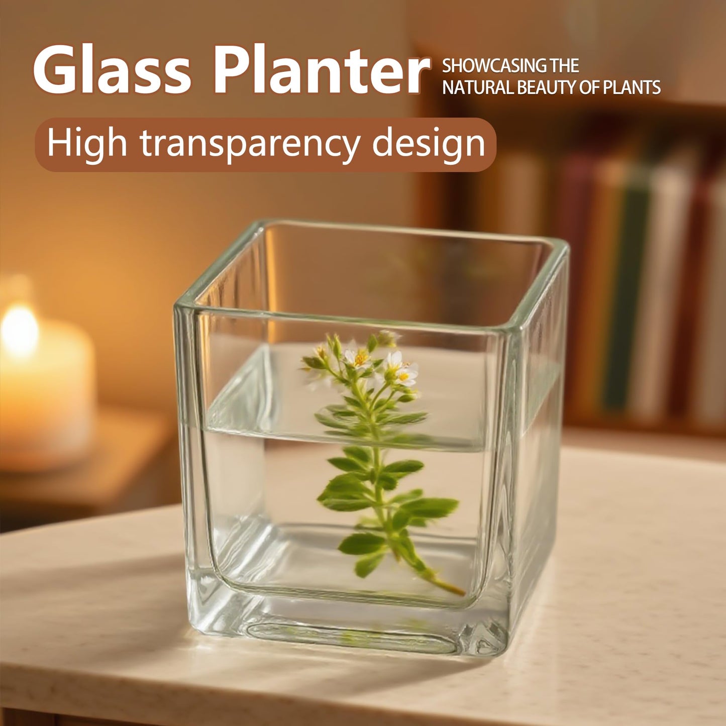 Set of 6 Square Glass Vases for Centerpieces – 5in x 5in x 5in Clear Short Flower Vase, Plant Terrariums, or Candle Holders for Wedding Centerpieces, Office Decor, Home Décor, Parties