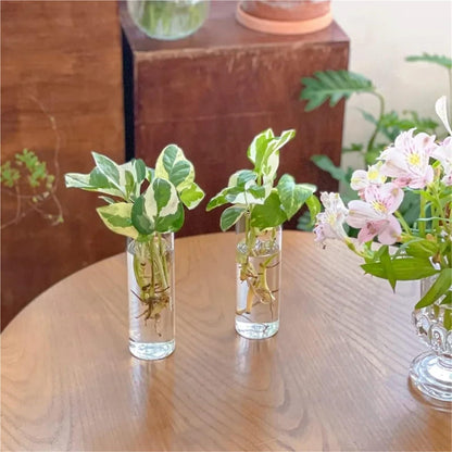 Glass Vase Vase 3Pack Wall Hanging Glass Planters Plant Terrarium Plants Holders Air Plants Wall Vase with Plastic Invisible Traceless Hangers(3Pcs Large)