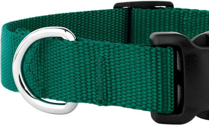 Country Brook Petz - Everyday Nylon Dog Collar and Leash - 10+ Cool Colors (3/8 Inch, Extra Small, Green)