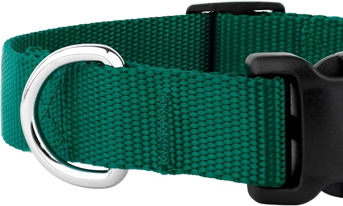 Country Brook Petz - Everyday Nylon Dog Collar and Leash - 10+ Cool Colors (3/8 Inch, 2XS, Green)