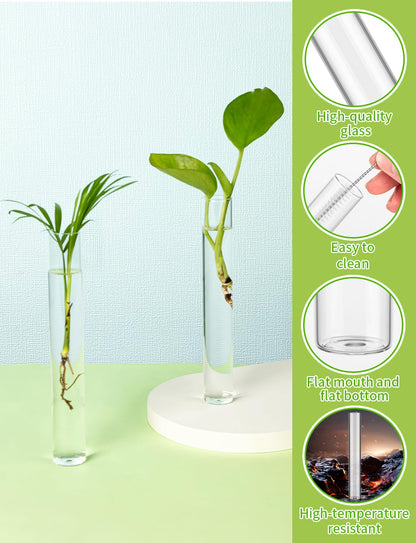 8 Tube Glass Plant Propagation Stations Clear Glass Test Tubes Tiered Planters Accessories for Home Office Plant Hanger Flower Vases Wall Decor Hydroponic Cuttings Clear Vases