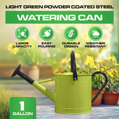 Plexon Metal Watering Can Outdoor 1 Gallon, Flower Plant Gardening Garden Large Green Watering Can Pot, Galvanized Steel Handles - Removable Spray Spout, Green