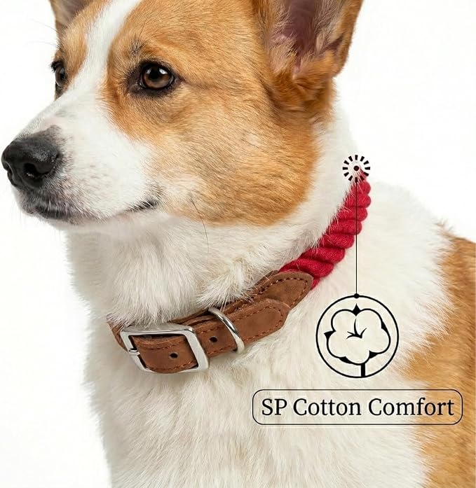 Mile High Life Genuine Leather Dog Collar, Durable Braided Cotton Rope Collar with Metal Pin Buckle for Small Medium Large Dogs (Red, S Neck 11"-15")