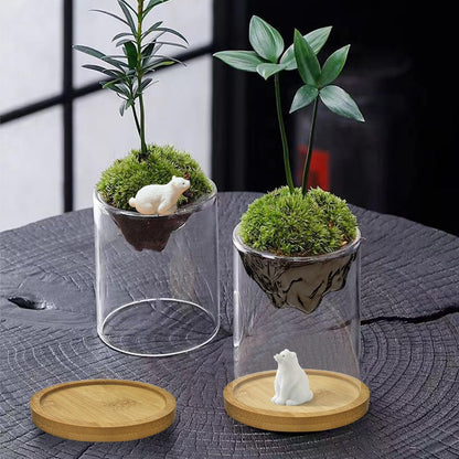 Plant Propagation Stations, 2Pcs Desktop Plants Terrarium Glass Hydroponic Vases with Bamboo Saucer, Water Plants Jars, Mountain-Shaped Bottom, Ideal Gifts for Women Mon Plant Lovers