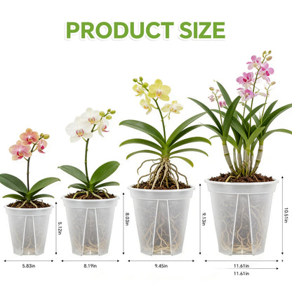 THMFHMW 6/8/10/12 Inch Large Clear Nursery Deep Pots with Drainage Hole 12 Pack, Deep Plant Pots with Drainage for Seedling Flower Vegetable, Ideal for Hyacinths, Amaryllis, Reusable Deep Pots