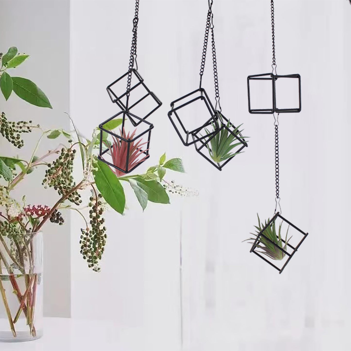 6 Pack Metal Hanging Air Plant Holders - Geometric Black Cube Tillandsia Hangers with Long Chains, Wall or Ceiling Mount for Small Air Plants, Home & Office Boho Decor (Individual or Combined Use)