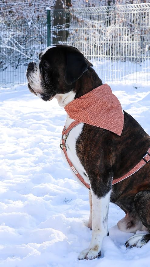 Pettsie Hemp Dog Bandana Collar & Matching Owner Friendship Bracelet | Adjustable, Durable Hemp & Soft Cotton, Matching Friendship Bracelet, Designed for Dog Lovers