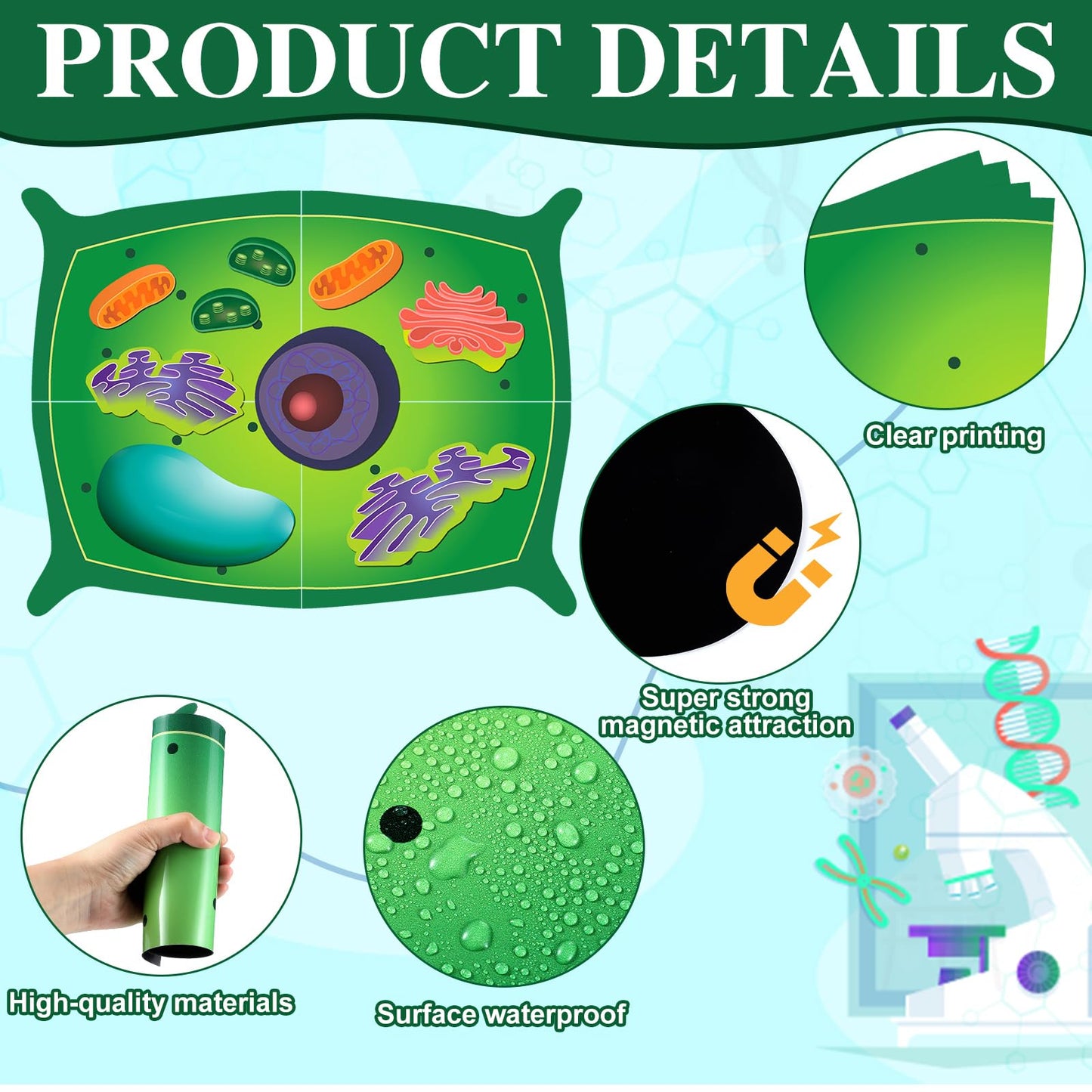 Leitee 18 Pcs Magnetic Plant Cell Model Kits Giant Teaching Resources Early Biology Cell Anatomy Model Life Science Teaching Aid for Whiteboard Learning Tools Educational Classroom Activities