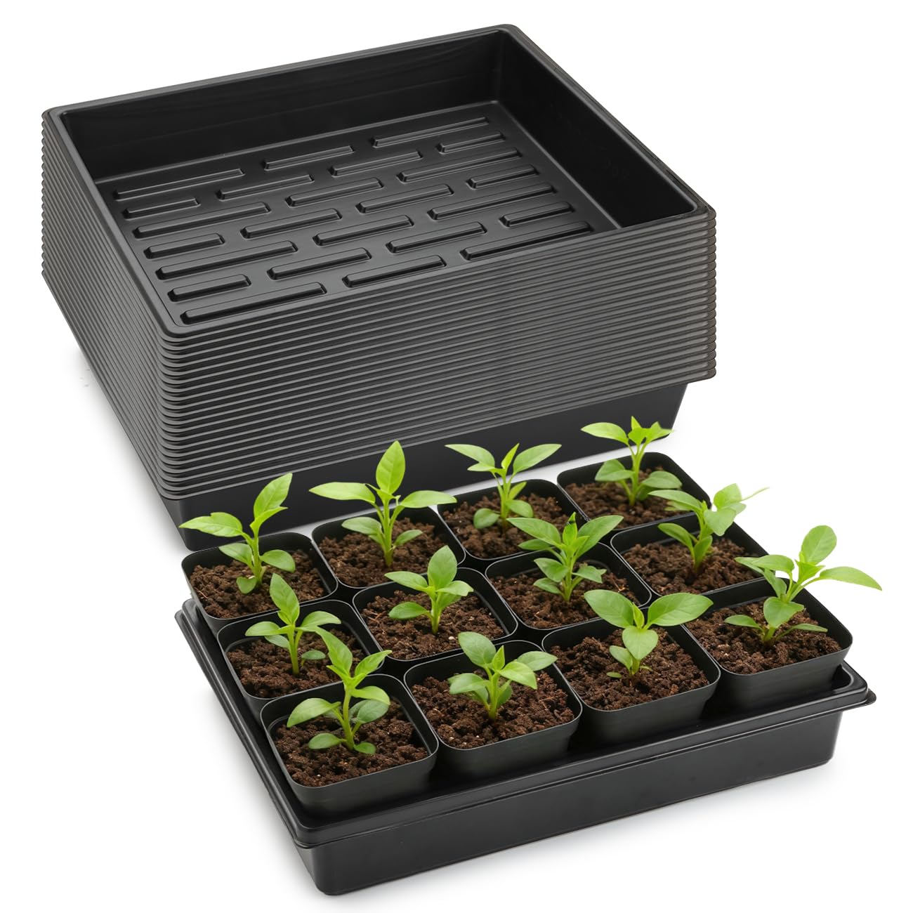 RooTrimmer 20 Pack Nursery Pots Trays (16.5"x13.2"x2.8"), Plastic Seed Starter Trays, Durable Carrying Seedling Starter Tray, Reusable Tray for Planting and Collecting Drainage Water (Black)