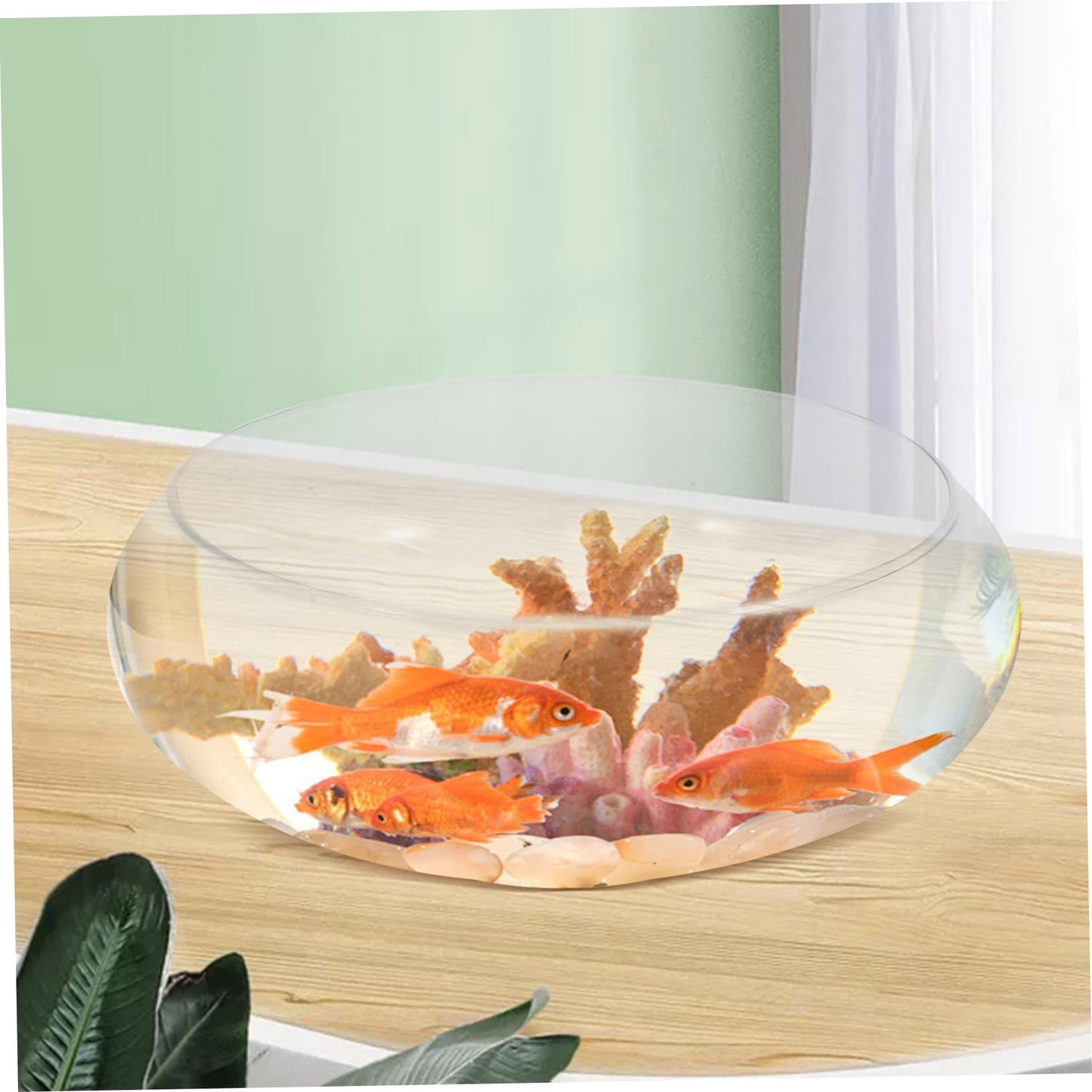 Mikikit Fish Bowl Glass Aquarium Tank Clear Desktop Fish Tank for Small Hydroponic Plant Pot Glass Design for Decor