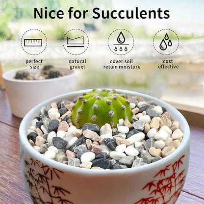 FANTIAN 10 lbs Pebbles for Landscaping, 3/8 Inch Pea Gravel. Decorative Stones Rocks for Succulent, Cactus, Vases, Terrarium, Aquarium, Potted Top Dressing and Outdoor Garden