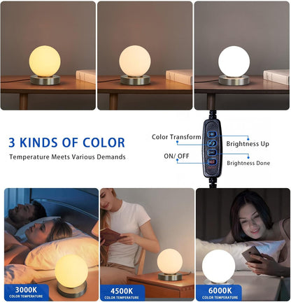 Modern Small Table Lamps, Opal Glass Bedside Table Lamp 3 Colors Dimmable Gold Desk Lamp, for Bedroom Living Room Nightstand, Simple Design (Silver)