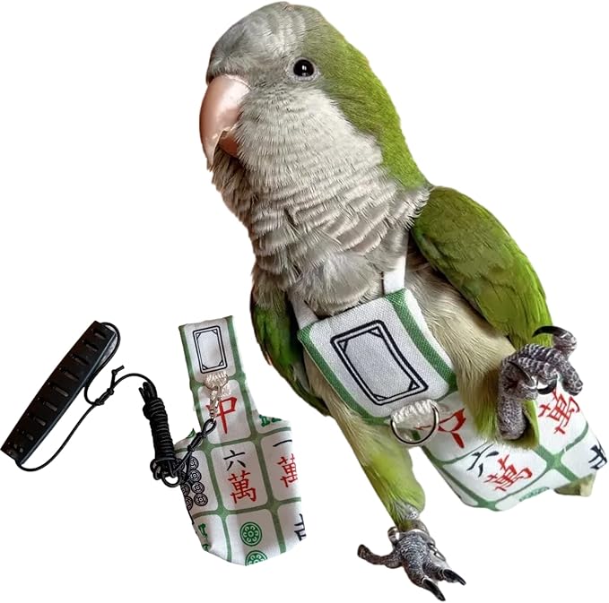 Bird Diaper Harness Flight Suit Clothes, Parrot Flight Suit with Leash for Parrot, Bird Flying Clothes with Rope and Handle for Outdoor Activities Training (with Leash,Blue Quaker)