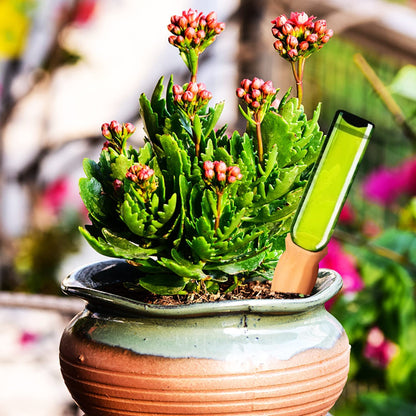 Tcamp 8Pack Plant Self Watering Spikes, Terracotta Plant Watering Devices Wine Bottle Plant Self-Watering Stakes for Indoor Outdoor Plants