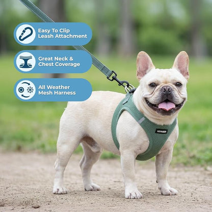 Best Pet Supplies Voyager Step-in Air All Weather Mesh Harness and Reflective Dog 5ft Leash Combo with Neoprene Handle, for Small, Medium and Large Breed Puppies - Moss Green, X-Small