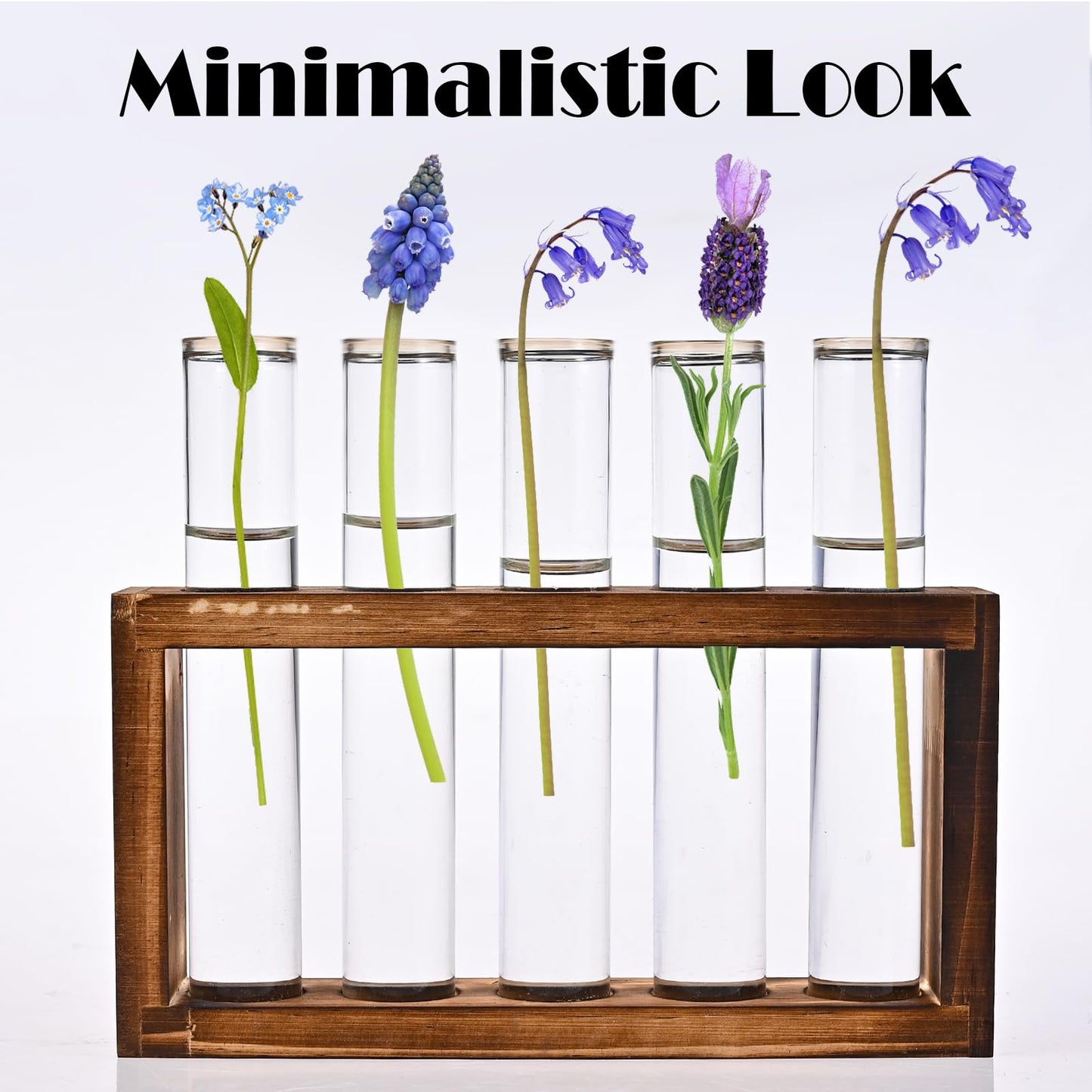 Tigvio Desktop Glass Plant Propagation Station with 5 Test Tubes in Wooden Stand - Hydroponic Plants Cutting Office Home Decoration and Garden Decor Terrarium (5 Tubes)