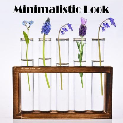 Tigvio Desktop Glass Plant Propagation Station with 5 Test Tubes in Wooden Stand - Hydroponic Plants Cutting Office Home Decoration and Garden Decor Terrarium (5 Tubes)