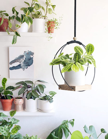 Dravmola Plant Hanger with Wood Base - Boho Macrame Hanging Plant Holder for Indoor Plants Hanging Planter for Wall /Window/Room Decor Black (Pot & Plant Not Included)