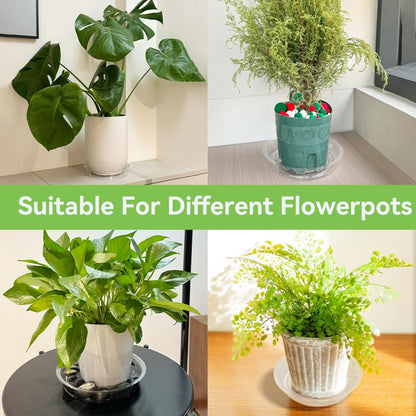 FufuHalo Clear Plant Saucers 50 Pack 8 Inch Plastic Plant Saucer, Durable Plant Pot Saucers Plant Drip Trays Used for Indoor and Outdoor Flower Pot