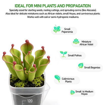 Zarique 8 Pack 2 Inch Self-Watering Plant Pots, Clear Plastic Planter with Water Level Indicator for Propagation, African Violets, Seedlings, Cuttings, with Drainage Hole