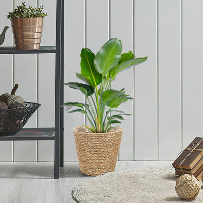 KESYOO Woven Flower Basket, Hand Woven Straw Plant Pot, Indoor Decorative Flower Pot with Liner, Light Brown, 8.66 x 8.66 x 8.26 Inch