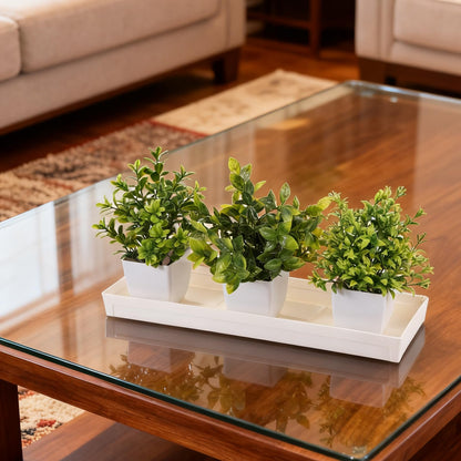5 PCS Plastic Plant Tray Saucer with 2 Removable Drain Plugs Rectangular Window Sill Drainage Tray for Indoors Outdoor Flower Pots for Window Shelf Thick Plastic Plant stand for Succulent Pot Planter