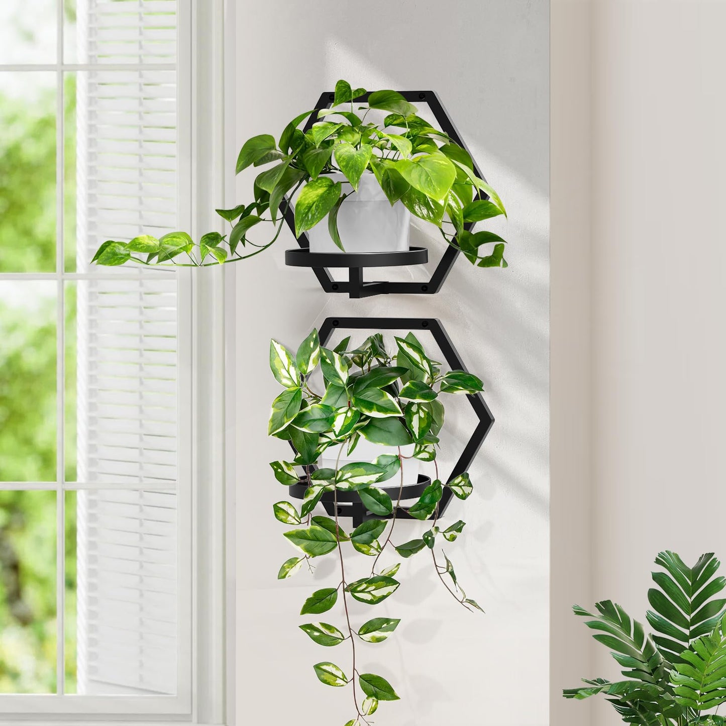 JOPBENG 3 Packs Wall Planters for Indoor Plants, 7.9inch Metal Wall Plant Holder Hanger Wall Decor, Wall-Mounted Hanging Planters Window Plant Shelves Outdoor(Black)