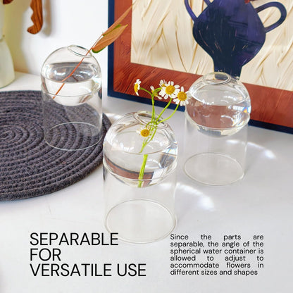 3-Pack Glass Plant Propagation Station, Planter Hydroponics Vase, Clear Glass Vase Set | Bud Vase & Mini Terrarium with Removable Base