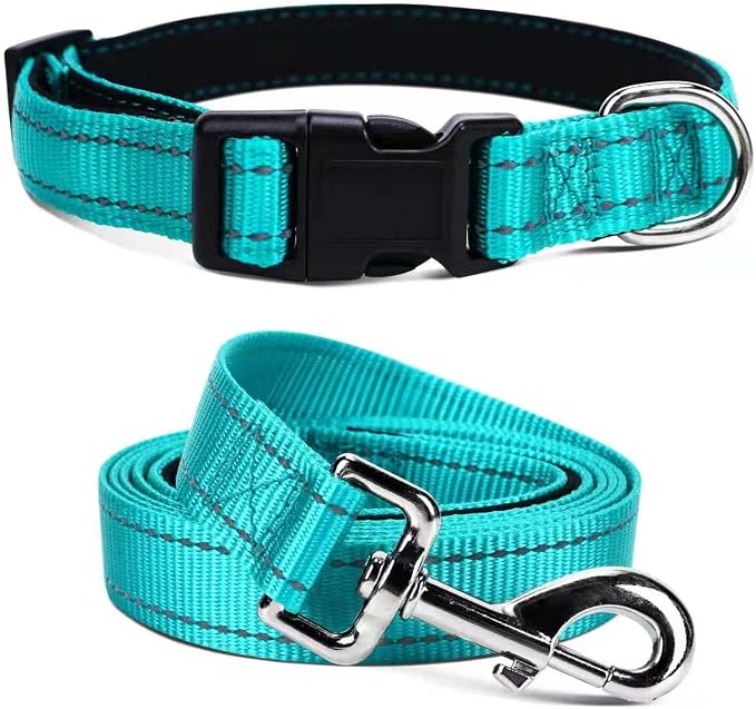 Soft Neoprene Padded Dog Collar and Leash Set for Small Medium Large Dogs, Reflective Durable Nylon Dog Collar with 5ft Leash Easy for Walking, Teal,Neck fit 12.5-19.5’’