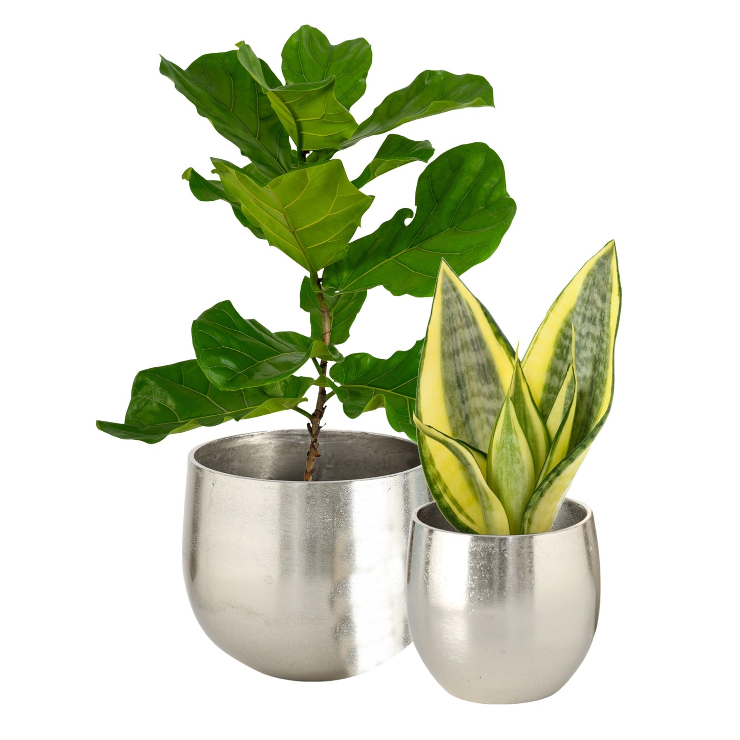 WHW Whole House Worlds Crosby Street Bucket Style Cache-Pot Planters, Set of 2, Polished Silver Aluminum, 7.5 and 5.5 Inches Diameter