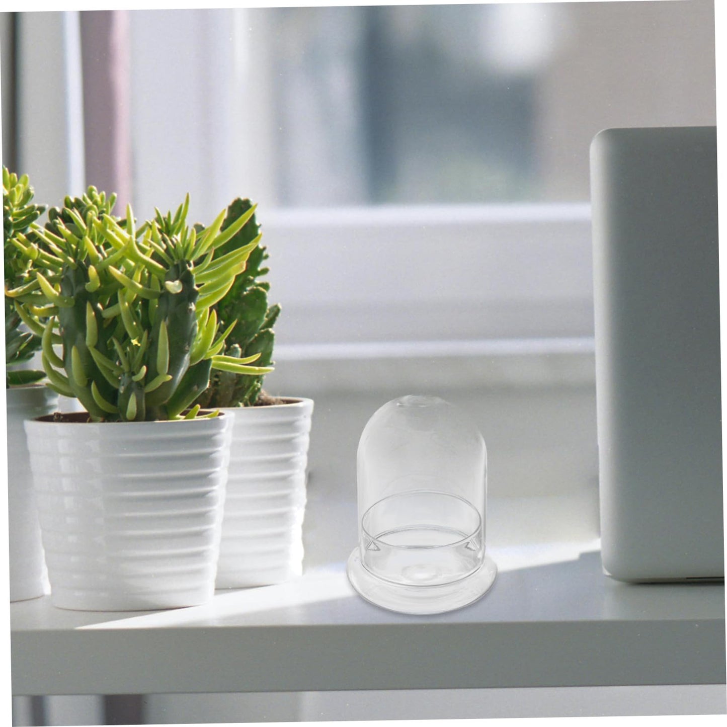 TOPPERFUN 1Pc Plant Bottle Chic Microlandscape Glass Terrarium for Home Decoration and for Plant Lovers